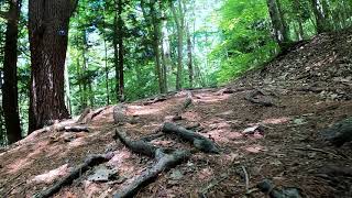 Hiking best trails in Allegany State Park NY [upl. by Saraann129]