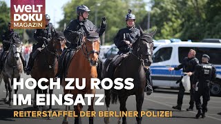 BERITTENE POLIZEI IM EINSATZ Pferdestärken für Sicherheit und Ordnung in Deutschland  WELT Magazin [upl. by Hittel19]