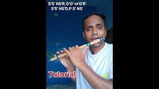 Feluda theme song flute tutorial  feluda theme tune Elomelo sur banshishiksha flutelesson [upl. by Kalfas]