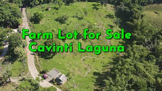 Farm Lot for Sale Cavinti Laguna [upl. by Marinna112]