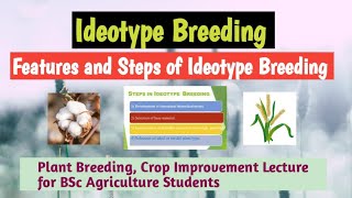 Ideotype breeding features and steps of ideotype breeding [upl. by Hilleary]