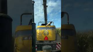 Behind the New Holland FR 550 inside view 🚜 harvest cornharvesting shortsvideo [upl. by Eelrahc]