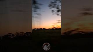 Atardecer llanero  Jorge Guerrero 🤠 musicallanera [upl. by Keeton462]