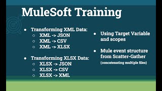 MuleSoft TrainingWeek5class2 [upl. by Sollows455]