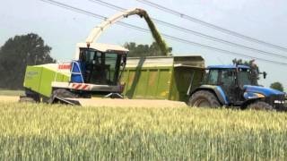 DOMINONI MPD 610 CLAAS 900 TRITICALE [upl. by Avert840]