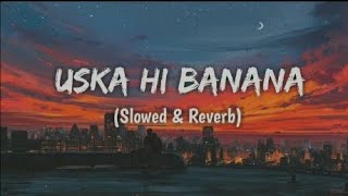 USKA HI BANANA  SLOWED amp REVERB tseries [upl. by Ydnes762]