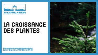 09 Comment les plantes grandissentelles [upl. by Adamson]