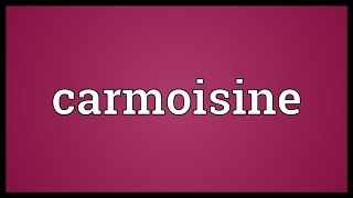 Carmoisine Meaning [upl. by Pressman85]