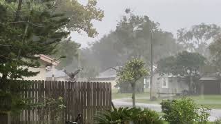 Hawk vs Hurricane Milton [upl. by Marielle]