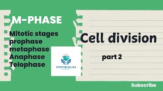 Mphase l stages of mitotic division l neet [upl. by Philps706]