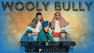 Sam the Sham and the Pharaohs  Wooly Bully ♫ 💃💃💃 1965 [upl. by Wichman289]