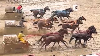 Hold On Tight Ponoka Stampede Thursday Night Cowboys Mud amp Mayhem [upl. by Ahsier607]