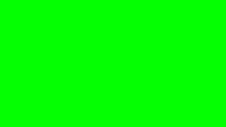 Flicker Overlay  4K Green Screen [upl. by Eiznekam]