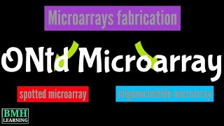 Oligonucleotide Microarrays In Situ Synthesized Oligonucleotide Microarrays Microarray Fabrication [upl. by Haniraz]