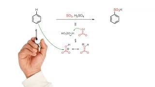 Sulfonation of benzene [upl. by Alletsirhc70]