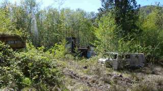 Property Full of Abandoned Logging Equipment [upl. by Ahswat]