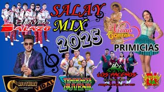 salay 2025 mix primicias  DJ DEYVID VM [upl. by Wassyngton]