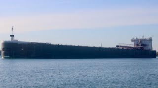 Thousand Foot Freighter American Integrity [upl. by Nawak]