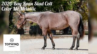 “Color Me Metallic” 🔥 2020 AQHA Bay Roan Colt by Metallic Chance  Cowhorse Cutting Ranch Rope [upl. by Dina]