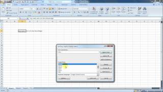 How To Do Spell Check In Excel [upl. by Leyameg984]