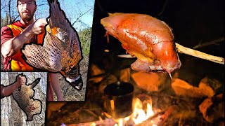 Pheasant Hunting Catch amp Cook  Truck Camping Overnight in the Woods [upl. by Parrie773]