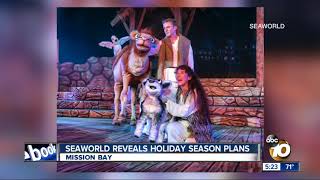 SeaWorld reveals holiday season plans [upl. by Aven]