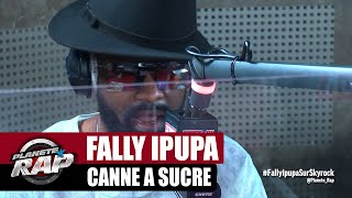 Fally Ipupa quotCanne à sucrequot PlanèteRap [upl. by Emmons346]