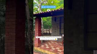 📍The Windflower Jungle Resort amp Spa Bandipur bandipur shortsvideo travelblogger hotels ​⁠short [upl. by Cotter]