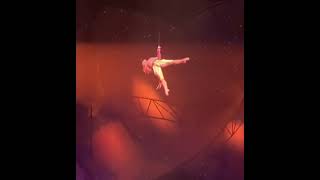 Aerial straps Cirque du Soleil “Mystere” [upl. by Beaston]