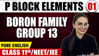 P BLOCK ELEMENTS 01  Boron Family  Group 13  Chemistry  Pure English  Class 11thNEETJEE [upl. by Mathe]