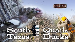 Hunting Quail and Ducks in South Texas  DU Nation [upl. by Drofnas15]