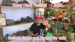 Bonsai and Suiseki Stone for sale Tanay Hane Festival 🎎 2023 [upl. by Llerahc904]