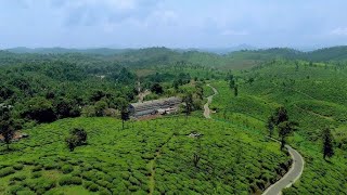 Kerala in Motion A Stunning Drone Cinematic Experience  Aerial Cinematics You Cant Miss [upl. by Orr]