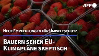 Neuer Klimaplan der EU könnte Bauernproteste neu entfachen  AFP [upl. by Irrek843]