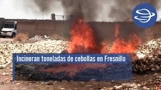 Incineran toneladas de cebollas en Fresnillo [upl. by Reuven]