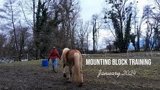 Mounting block  January 2024 [upl. by Ittocs]