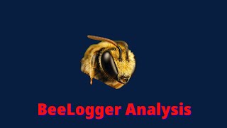 Malware Analysis  Analyzing The BeeLogger KeyLogger [upl. by Grogan]