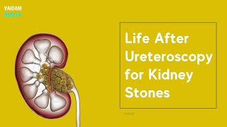 Life After Ureteroscopy for Kidney Stones [upl. by Nolra]