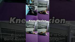 Exercises for Knee Flexion after Surgery [upl. by Gib]