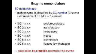 Enzymes Nomenclature and Classification EC 1 EC2 EC3 EC4 EC5 EC6 [upl. by Nelo]