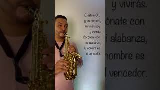 Exáltate oh gran cordero  Saxofón instrumental [upl. by Reivilo]