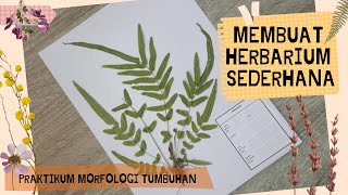 Membuat herbarium Sederhana  Praktikum Morfologi Tumbuhan [upl. by Mintun]