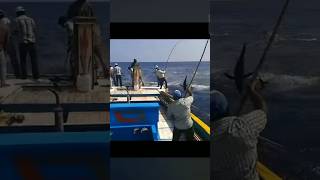 Minicoy fishing video boat annaru Maliku fishing video minicoy Lakshadweep Island fishing shorts 🎣 [upl. by Joelie]