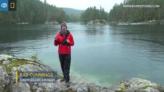 Secrets of the Temperate Rainforest  Pacific Northwest  Lindblad ExpeditionsNational Geographic [upl. by Marrissa]