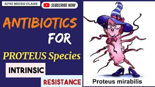 Drugs for PROTEUS Species  Intrinsic resistance  Treatment of UTI [upl. by Cath]