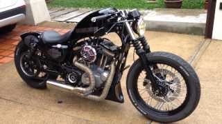 Harley Sportster Nightster  Team Dark Custom [upl. by Lenuahs]