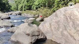 Silent valley National park  Bhavani river  silent valley  Palakkad  Beautiful River  Attapadi [upl. by Adnoel262]