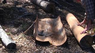 Debarking Dead Trees Shelter Roofing Cordage Material amp Bush Tucker By Keith H Burgess [upl. by Wyatt327]