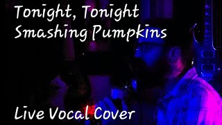 Tonight Tonight  Smashing Pumpkins   Live Vocal Cover by David Gray  Karaoke [upl. by Incrocci]