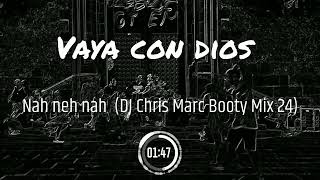 Vaya con dios  Nah neh nah DJ Chris Marc Booty Mix 24 [upl. by Ecyt]